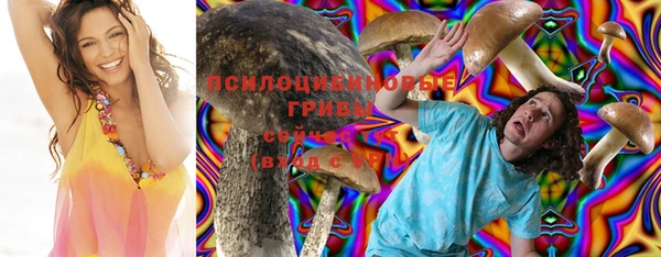 spice Нягань