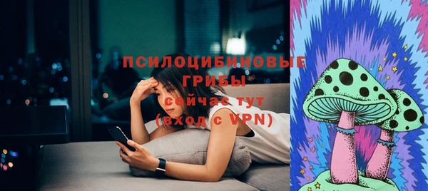 МДПВ Няндома