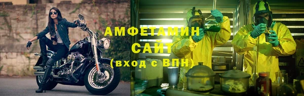 прущие грибы Осташков