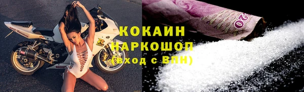 молекула духа Гатчина