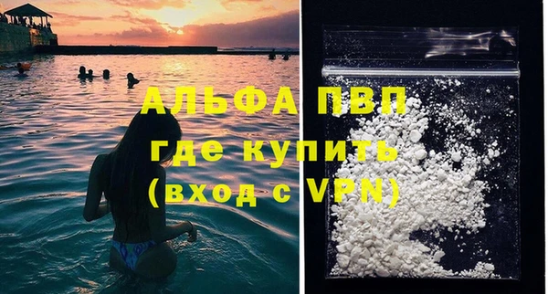 Альфа ПВП Верея