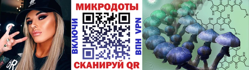 Галлюциногенные грибы мицелий  где купить   Усть-Лабинск 