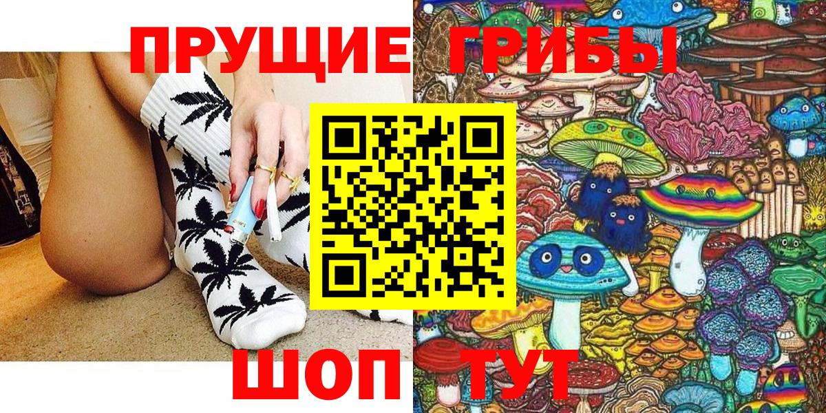 Псилоцибиновые грибы мицелий Усть-Лабинск